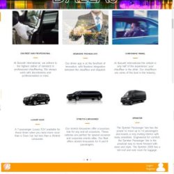 Cross-Browser Compatible Web Design | Web Design Services (917) 651-8495 picture