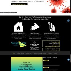☎️AFFORDABLE WEBSITE DESIGN ☎️WEB DEVELOPMENT, WORDPRESS,E-commerce (Long Island) picture