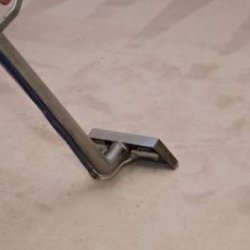 5 Rooms Pro Carpet Deep Cleaning $199 (Trenton and Surroundings)