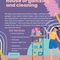 20$ the hour ! Sparkly home cleaning and organizing